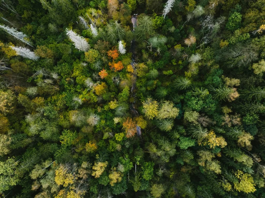 Nature-inspired color palette drawn from flowers, foliage, stone, and earth